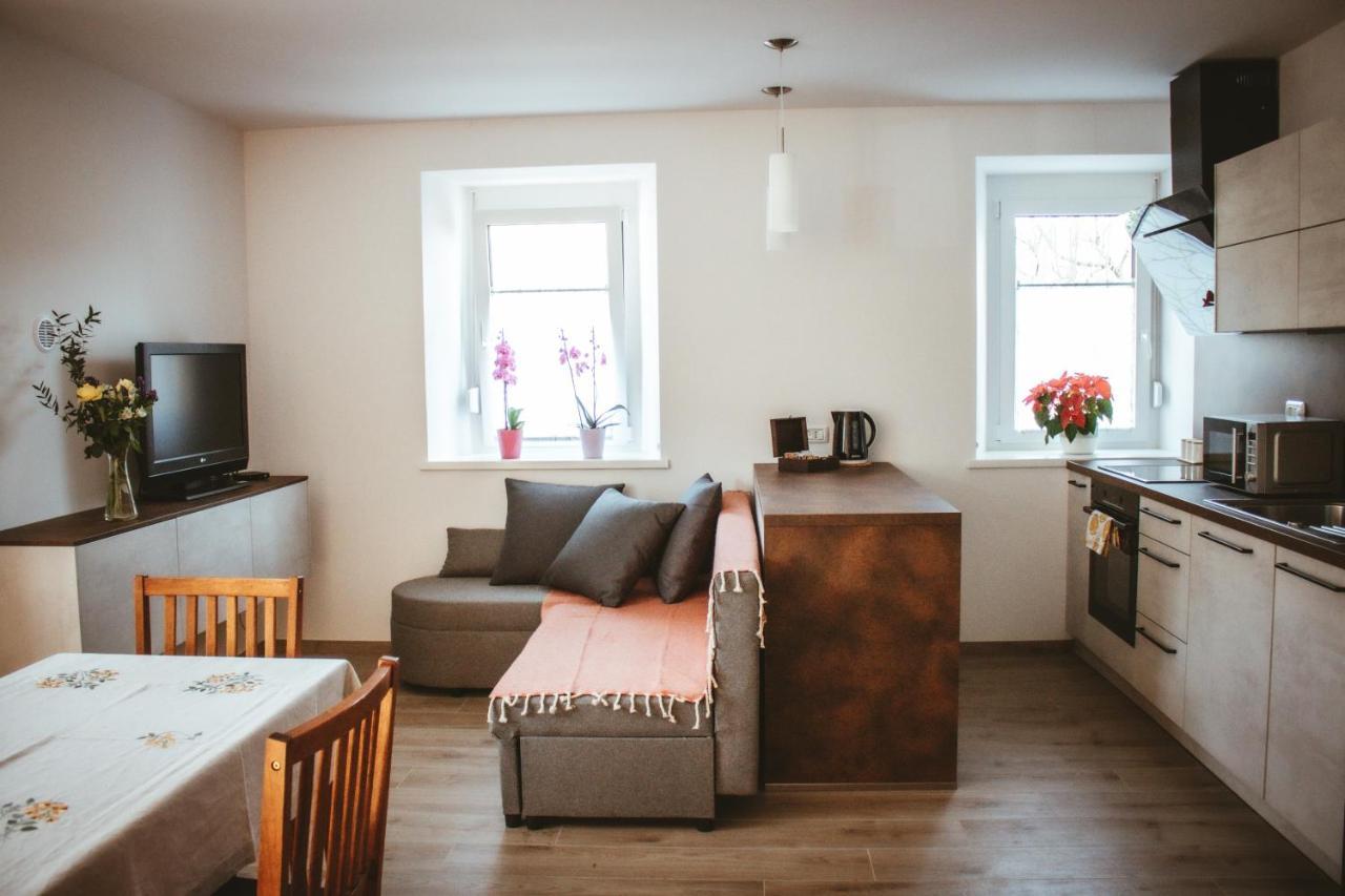 Apartma Moser Podnanos Εξωτερικό φωτογραφία